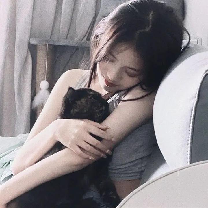 干支魂:猫客万来