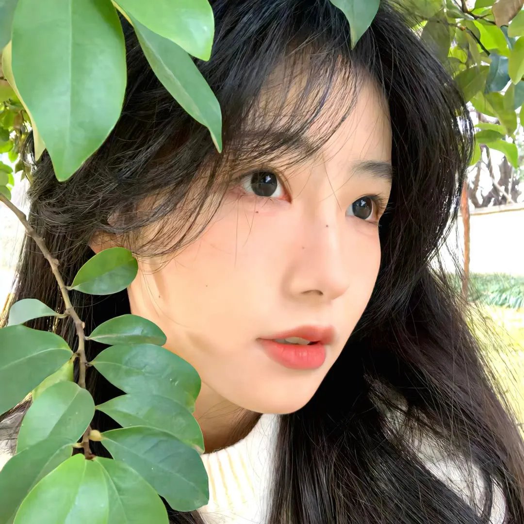 青春旋律